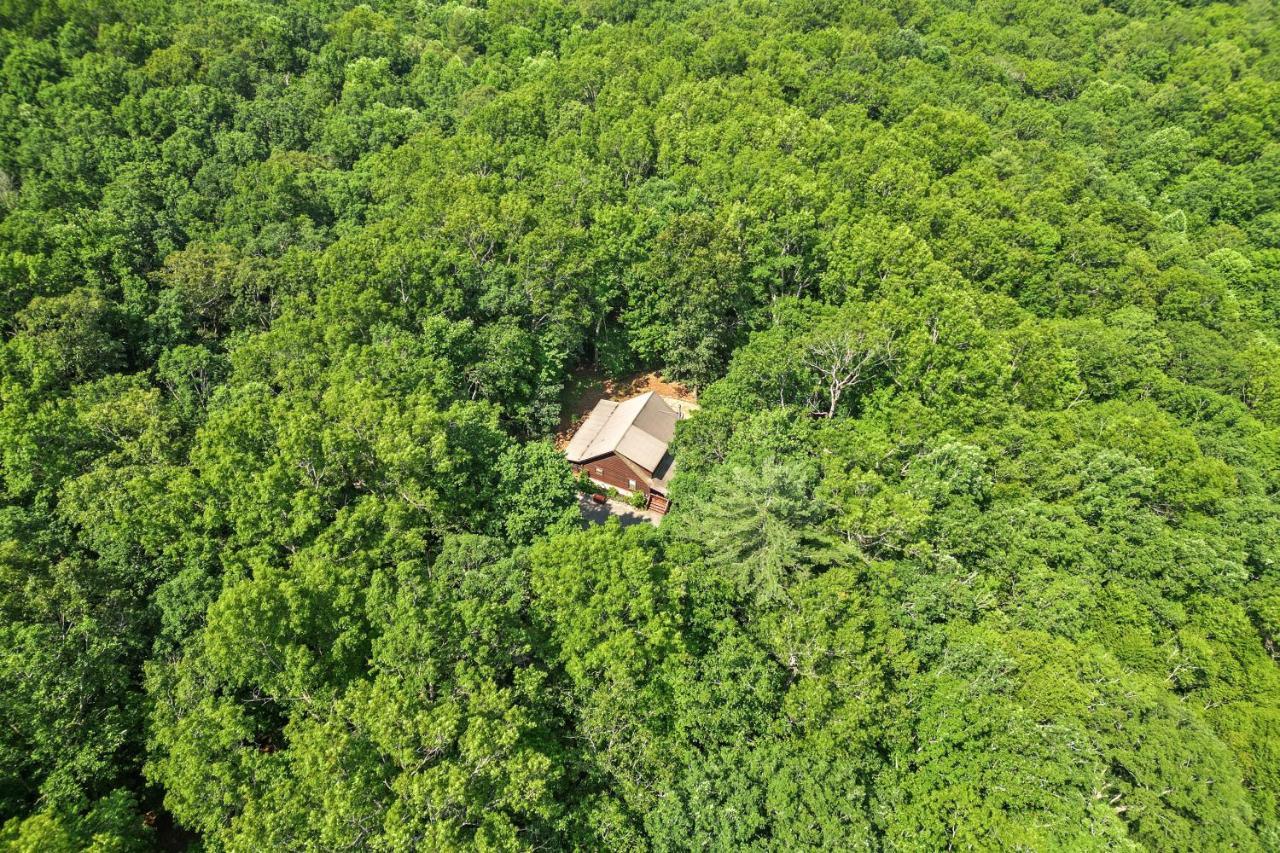 Bear Naked Bungalow Blue Ridge Kültér fotó